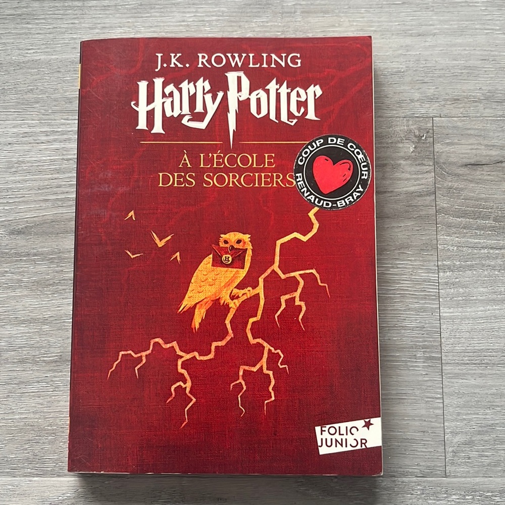 Harry Potter à l’école des sorciers (version française)